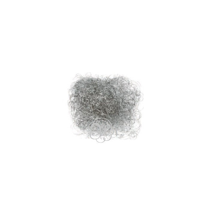 copy of 